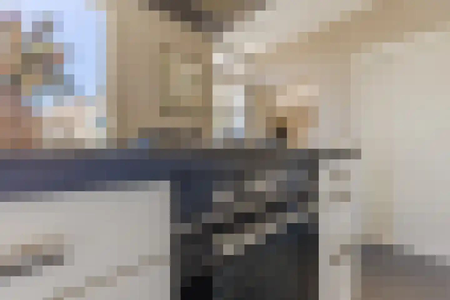 Schutsboom 1 Geldrop thumbnail 18