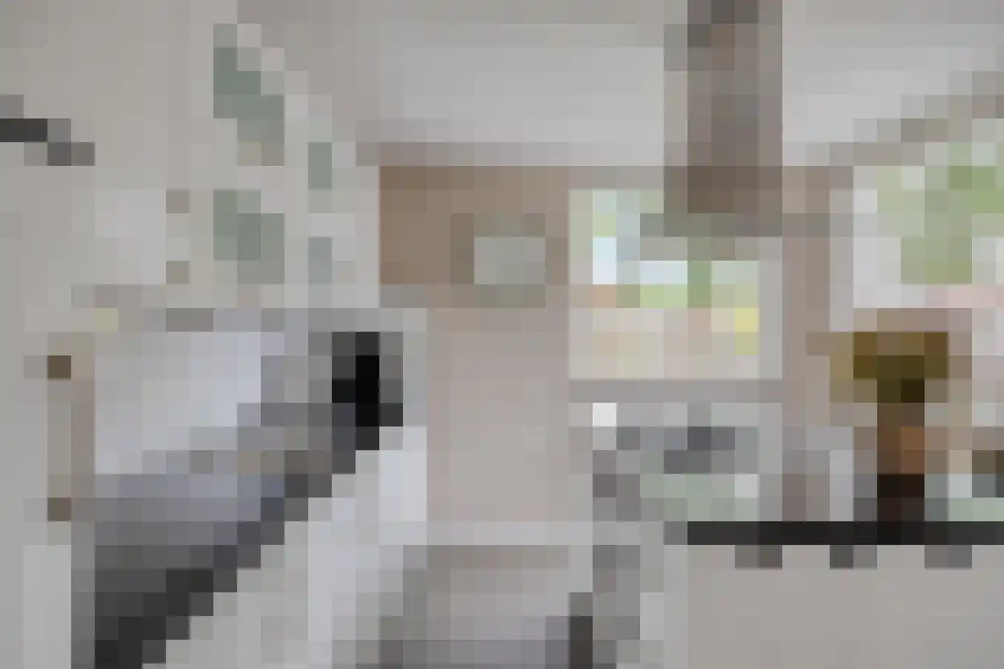 Schutsboom 1 Geldrop thumbnail 18