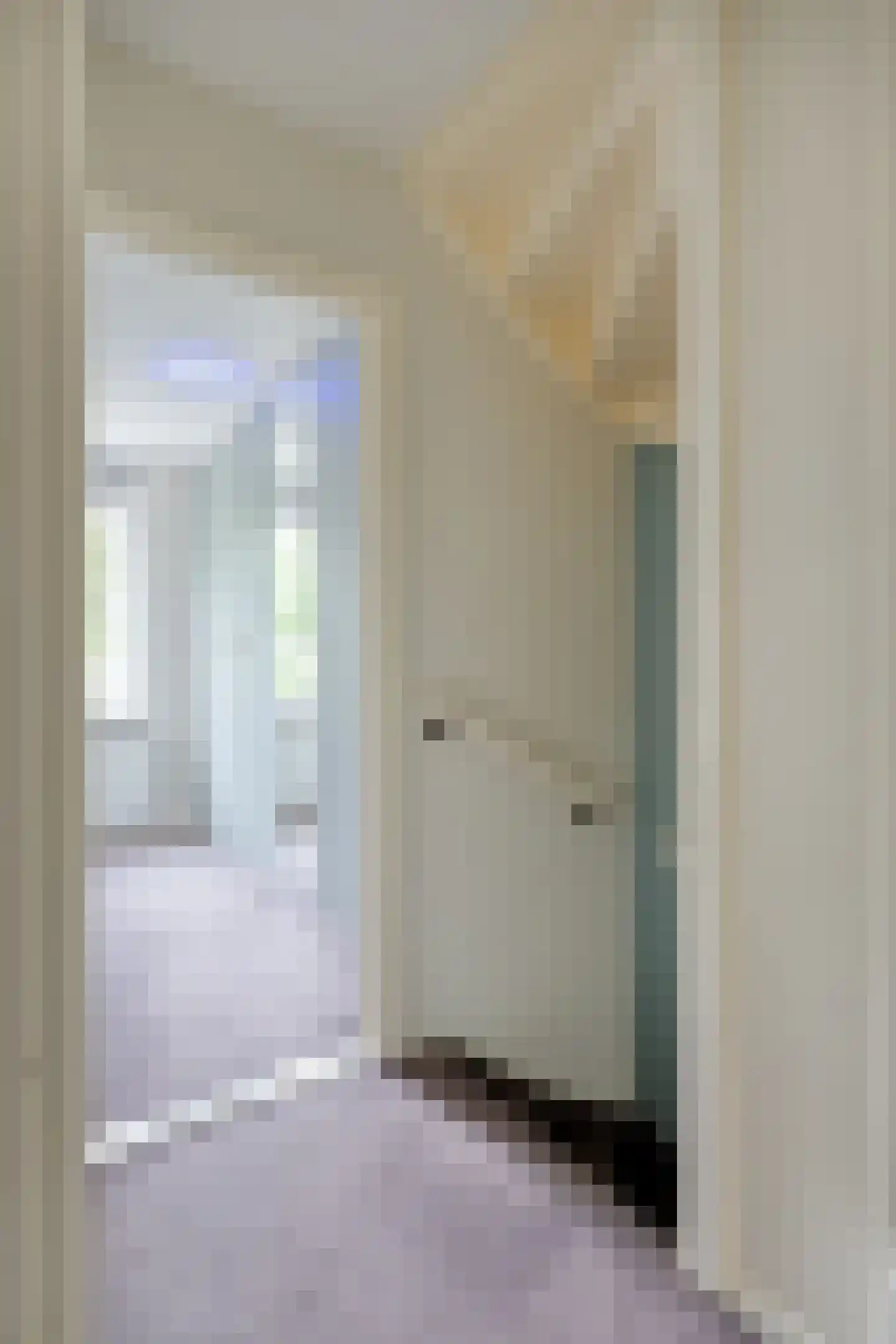 Schutsboom 1 Geldrop thumbnail 19