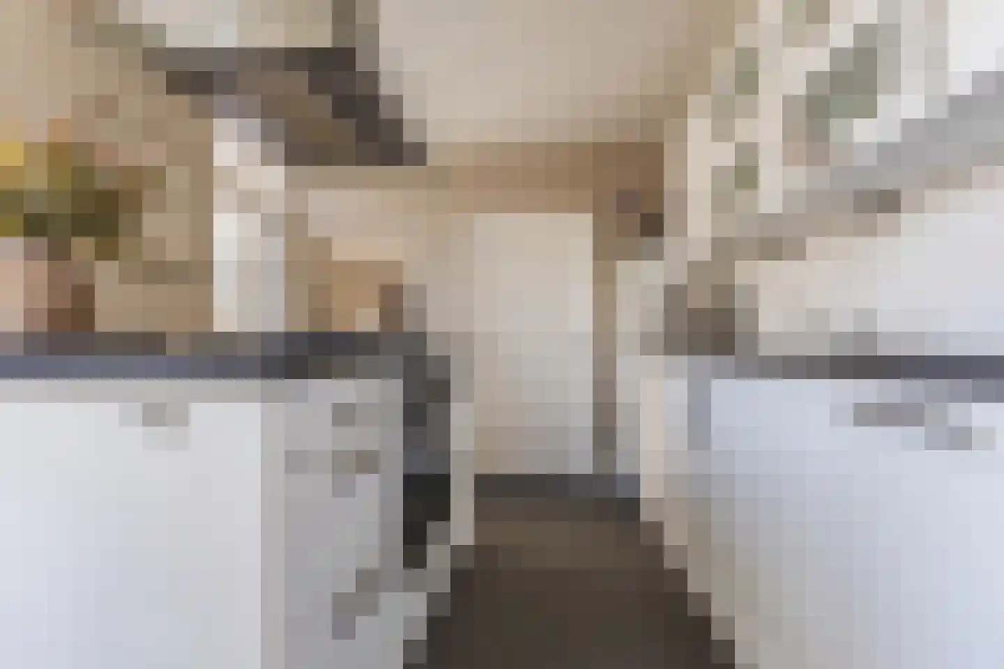 Schutsboom 1 Geldrop thumbnail 19