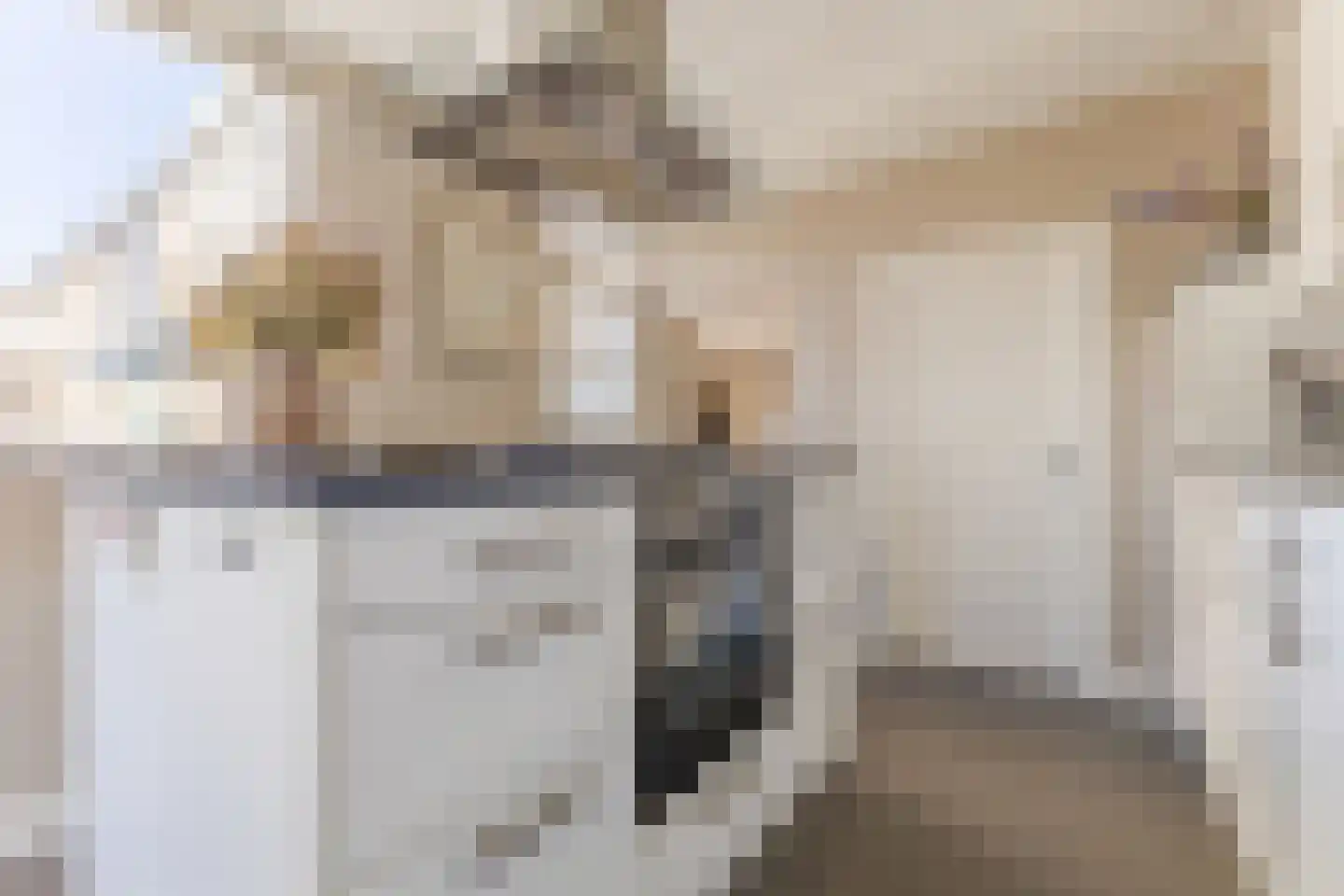 Schutsboom 1 Geldrop thumbnail 20