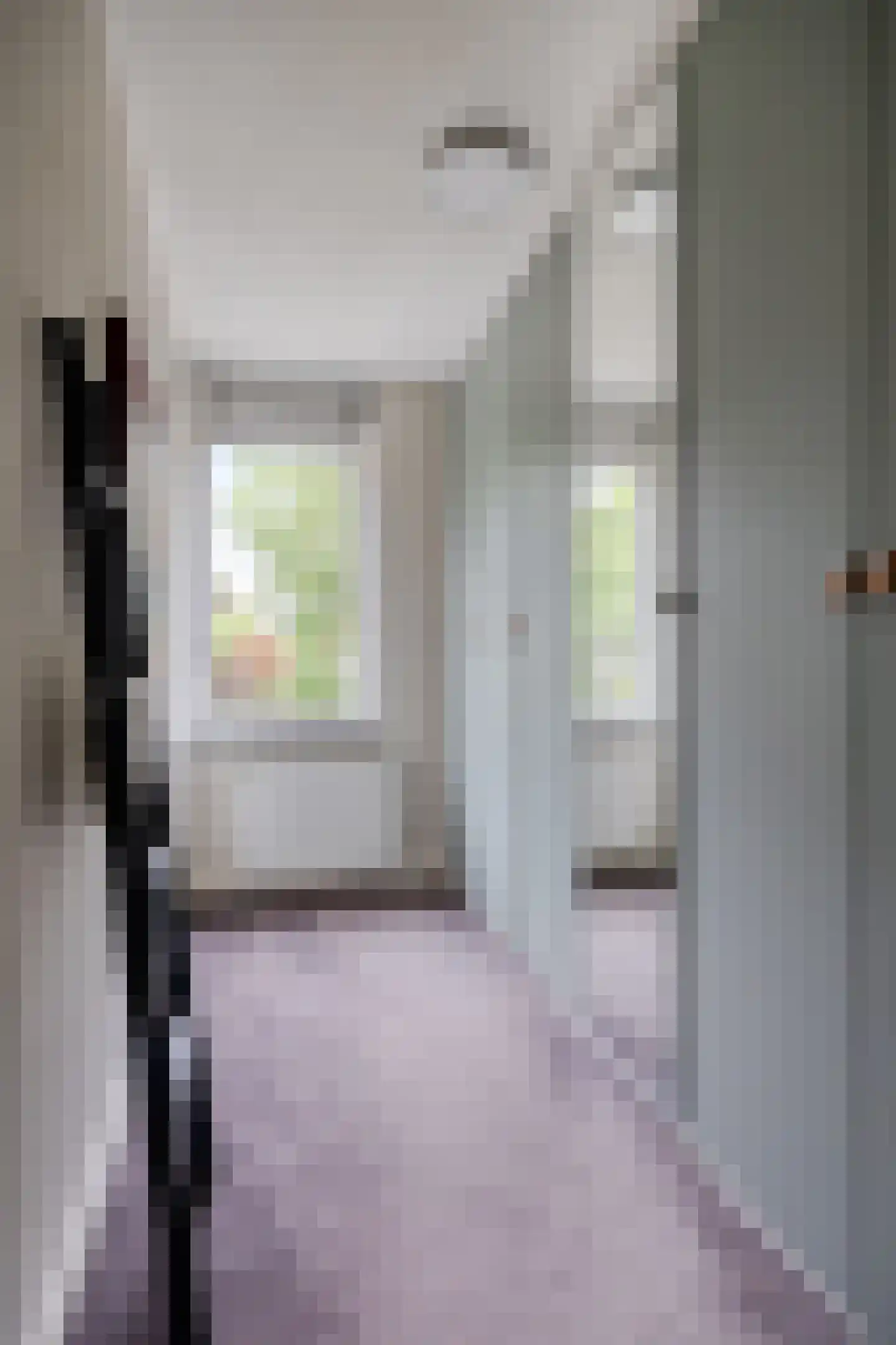 Schutsboom 1 Geldrop thumbnail 20
