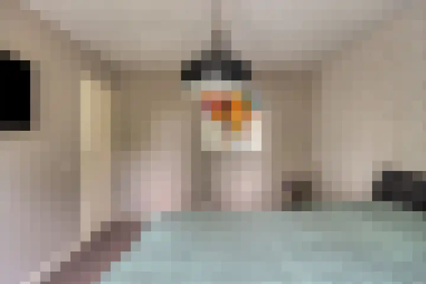 Schutsboom 1 Geldrop thumbnail 21