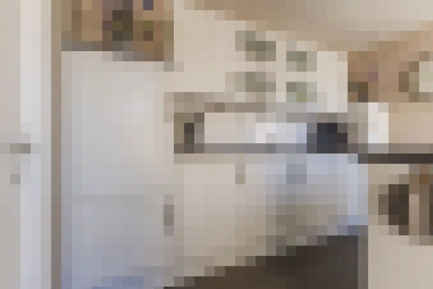 Schutsboom 1 Geldrop thumbnail 21