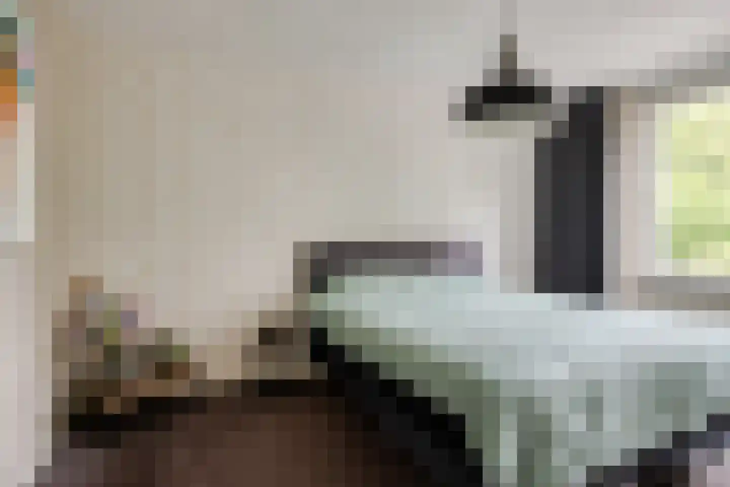 Schutsboom 1 Geldrop thumbnail 22