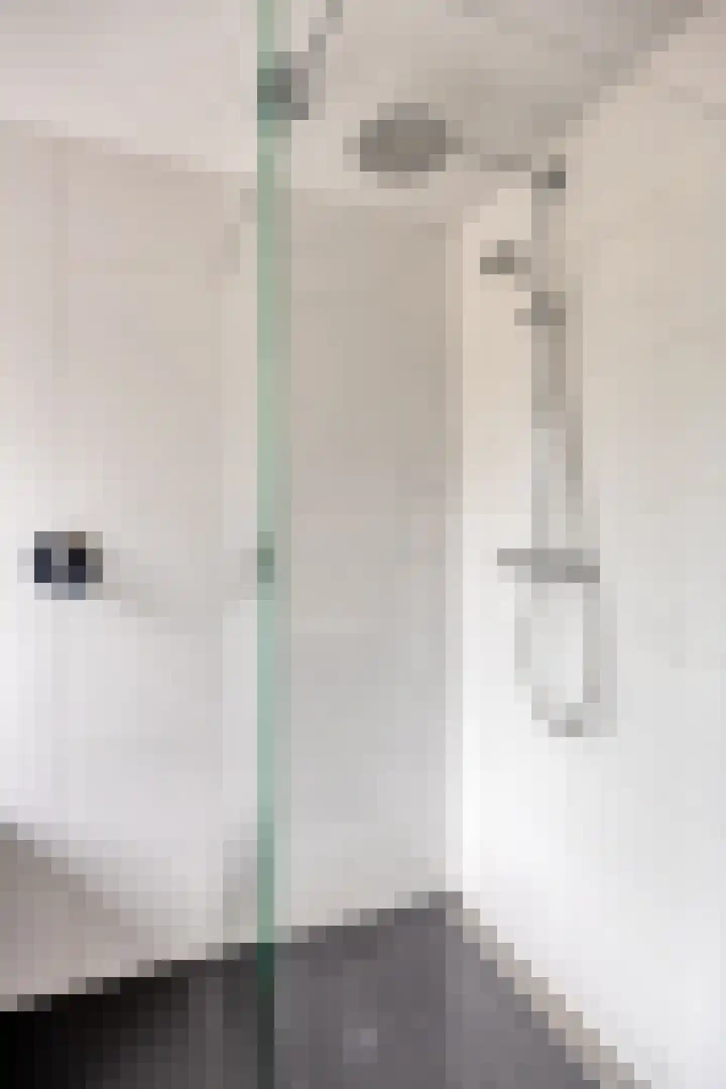Schutsboom 1 Geldrop thumbnail 24