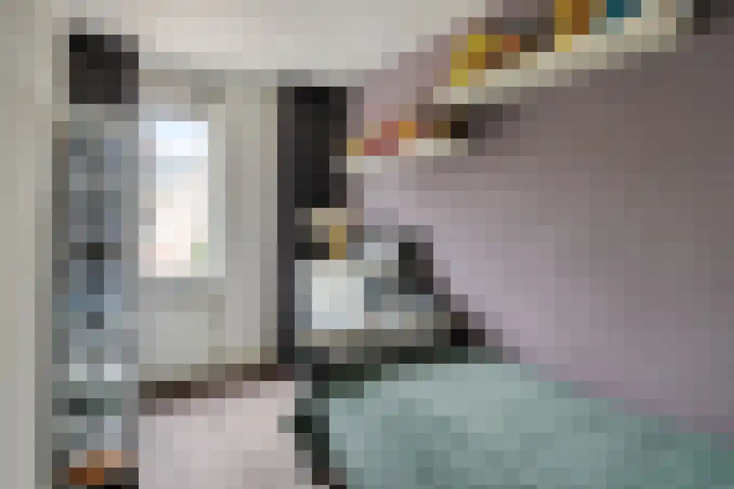 Schutsboom 1 Geldrop thumbnail 25