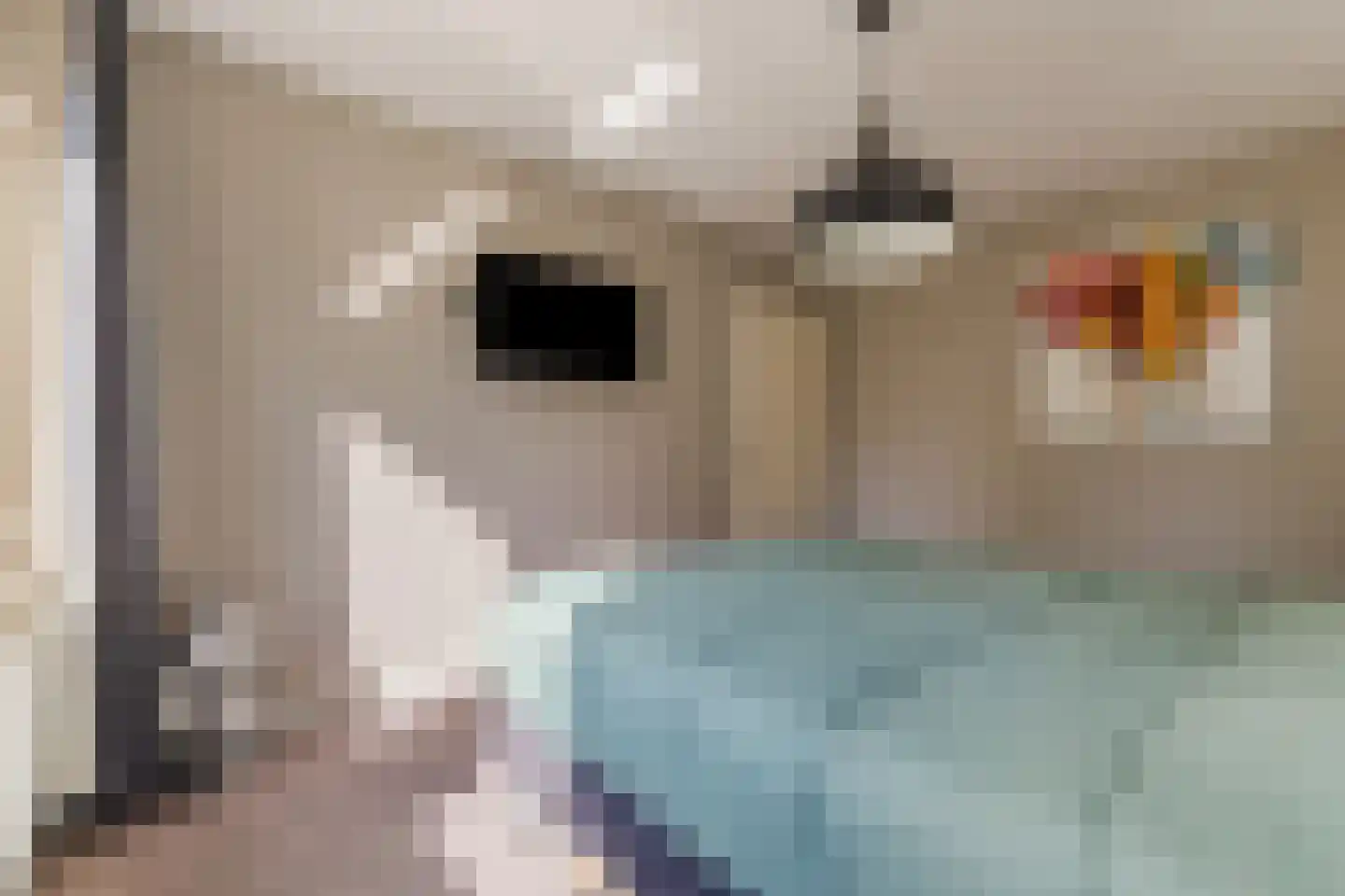 Schutsboom 1 Geldrop thumbnail 26
