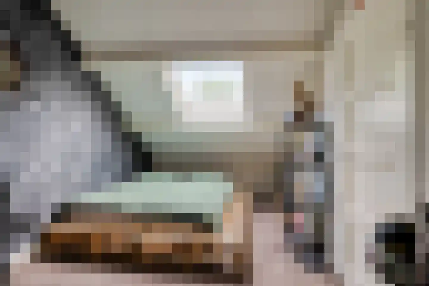 Schutsboom 1 Geldrop thumbnail 29