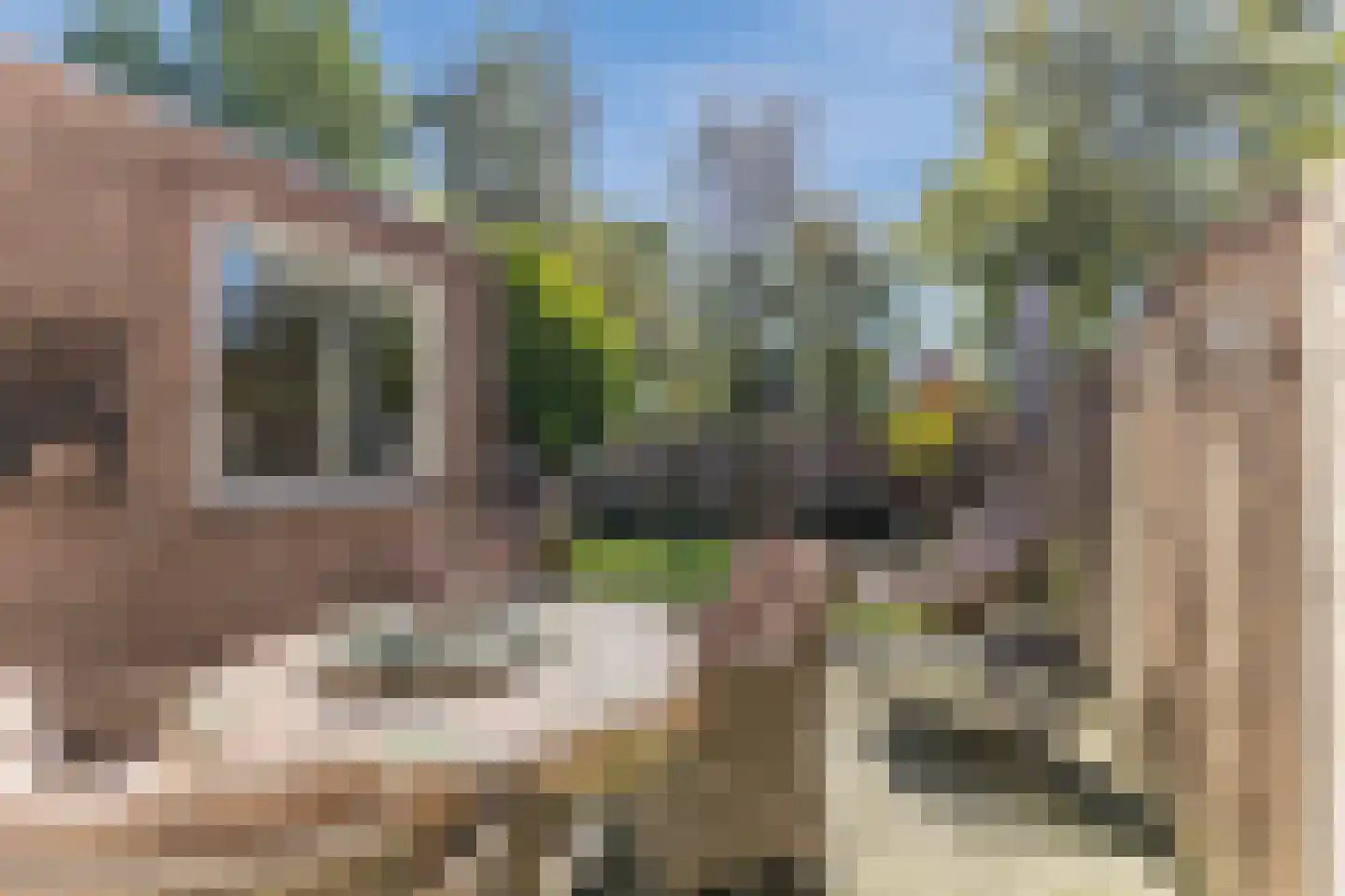 Schutsboom 1 Geldrop foto 3