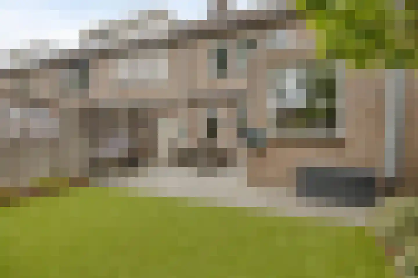 Schutsboom 1 Geldrop thumbnail 31