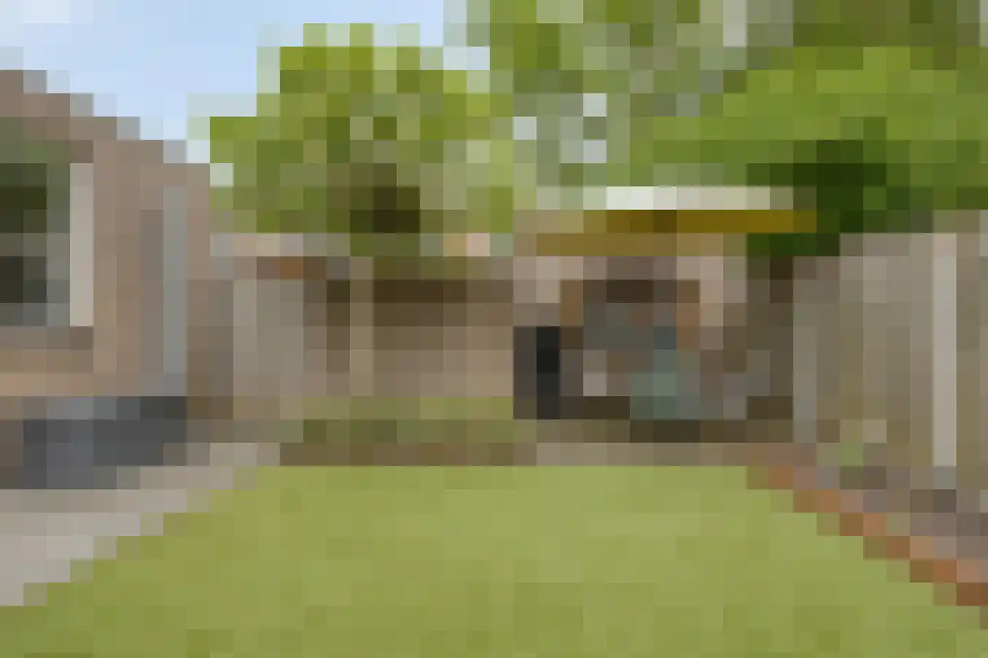 Schutsboom 1 Geldrop thumbnail 32