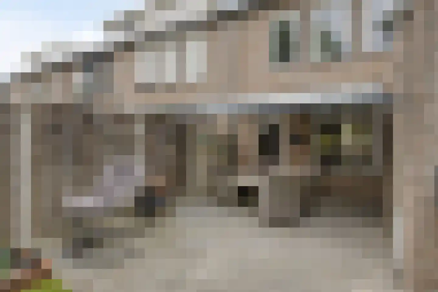 Schutsboom 1 Geldrop thumbnail 33