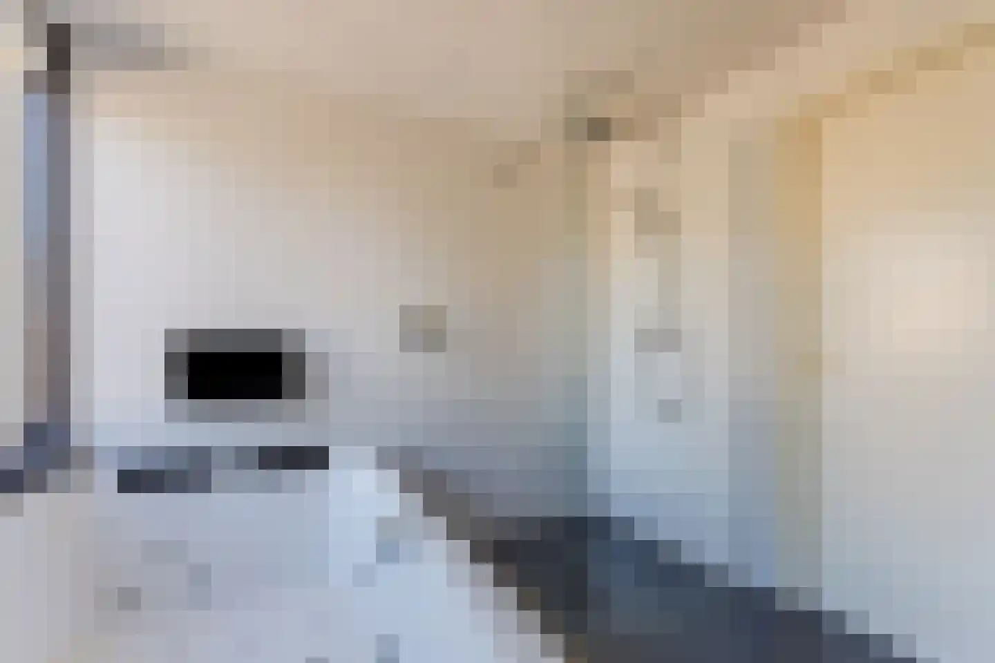 Schutsboom 1 Geldrop thumbnail 34