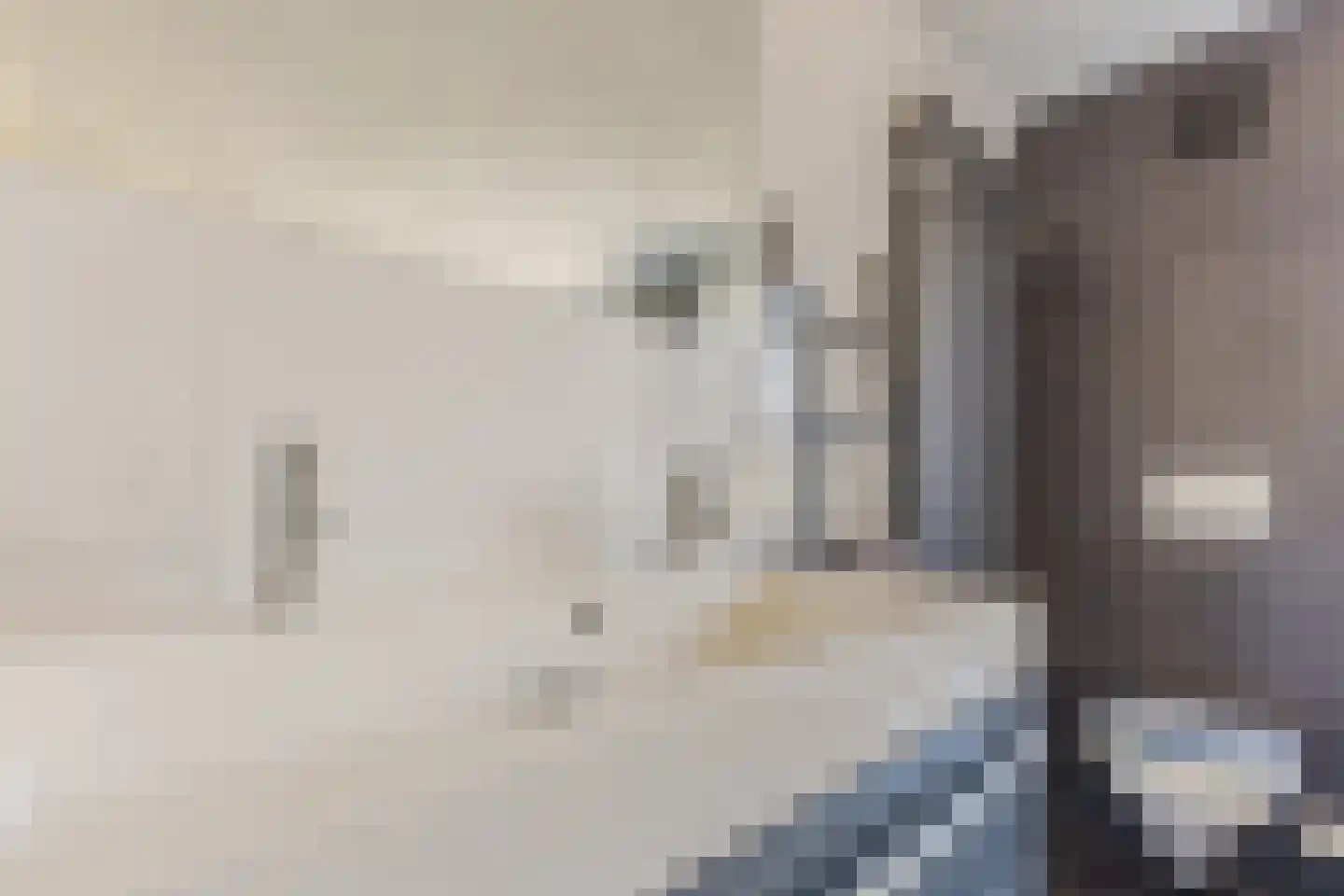 Schutsboom 1 Geldrop thumbnail 35