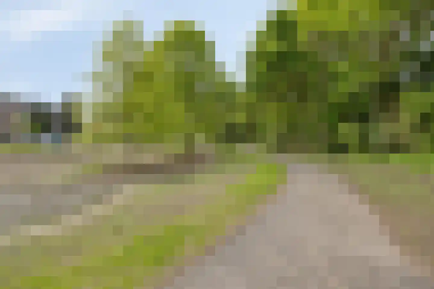 Schutsboom 1 Geldrop thumbnail 38