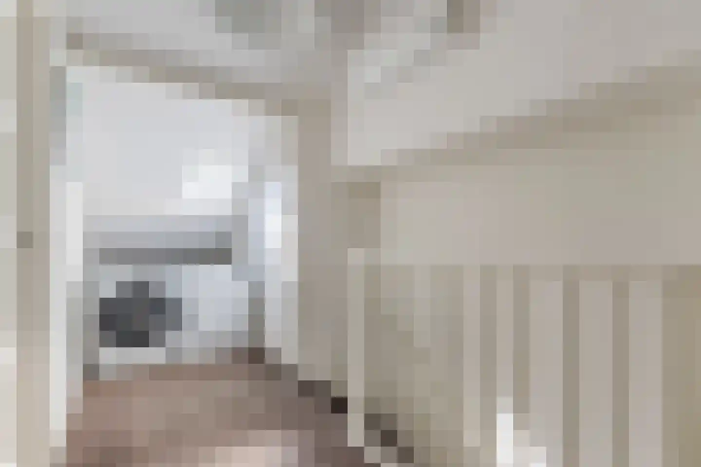 Schutsboom 1 Geldrop thumbnail 38