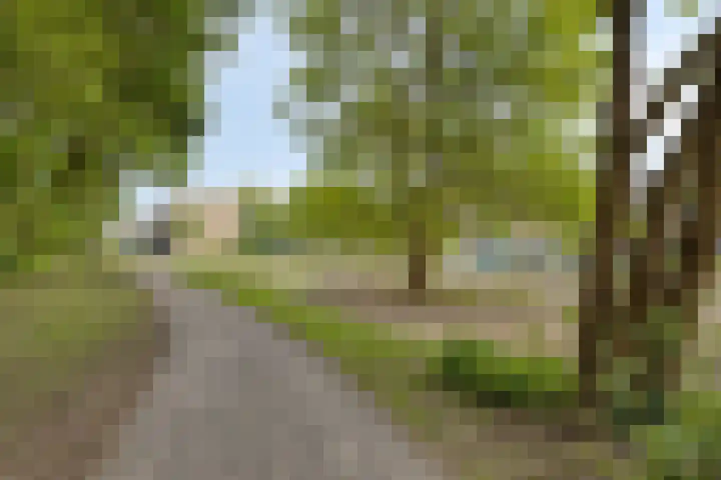 Schutsboom 1 Geldrop thumbnail 39