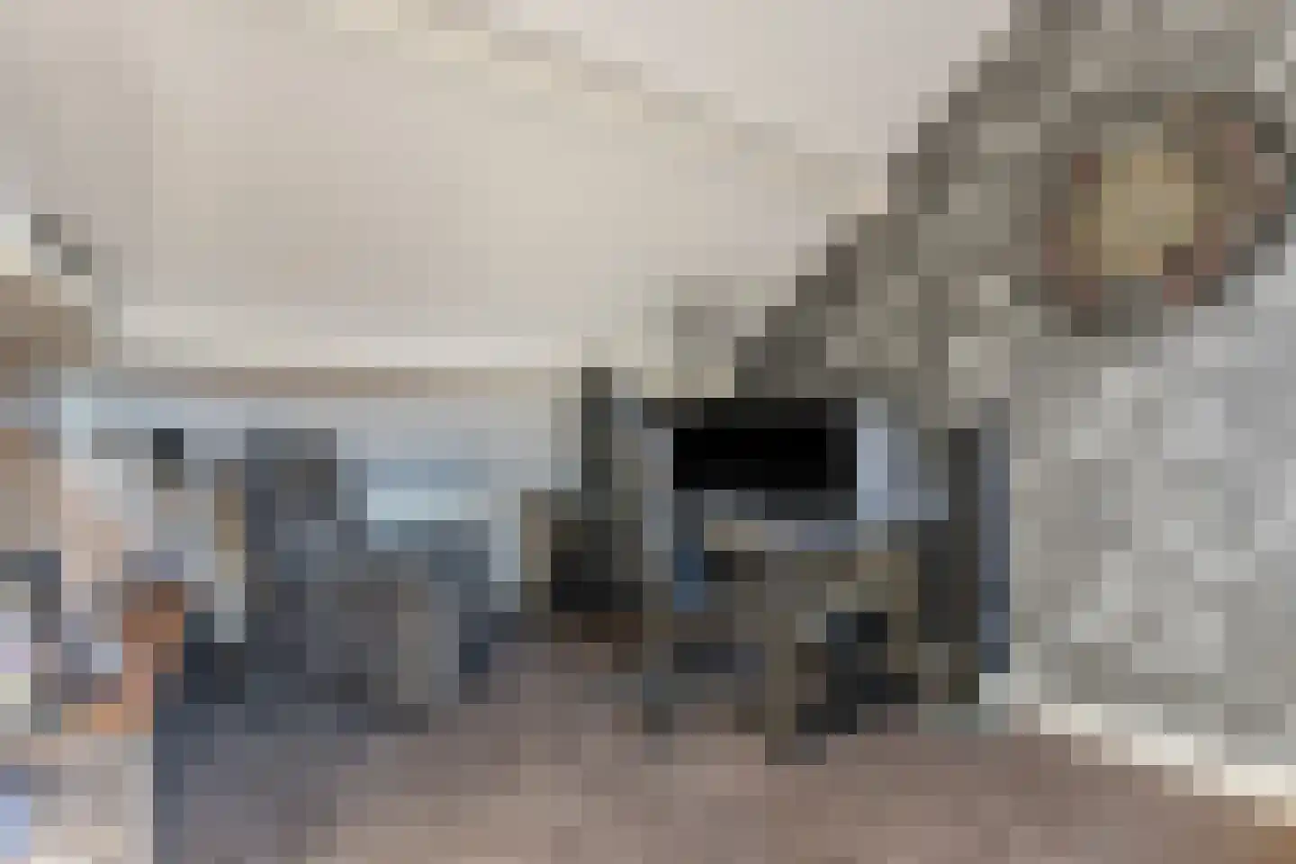 Schutsboom 1 Geldrop thumbnail 40