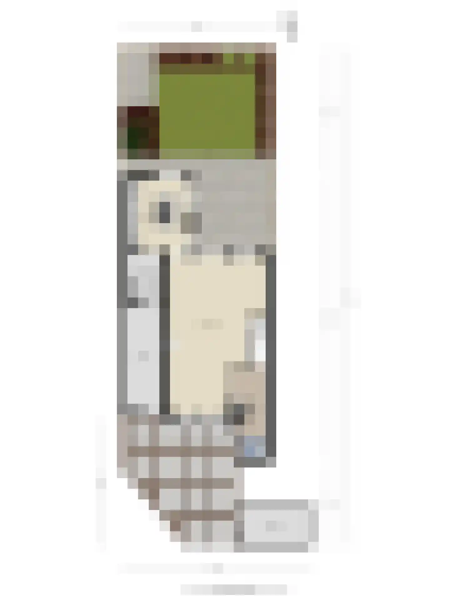 Schutsboom 1 Geldrop thumbnail 40