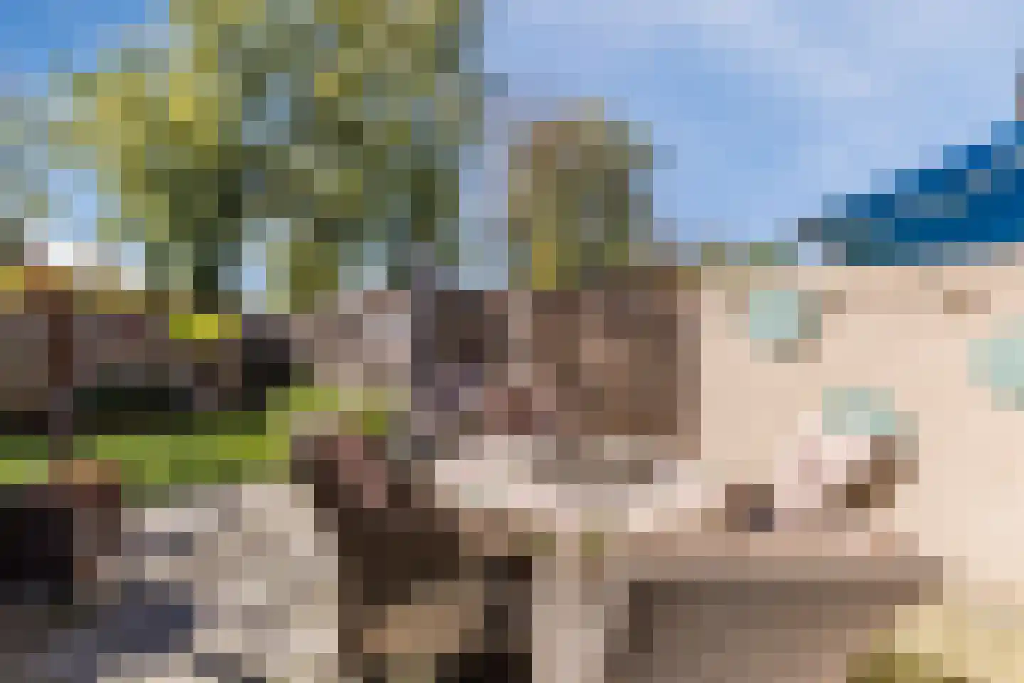 Schutsboom 1 Geldrop thumbnail 42
