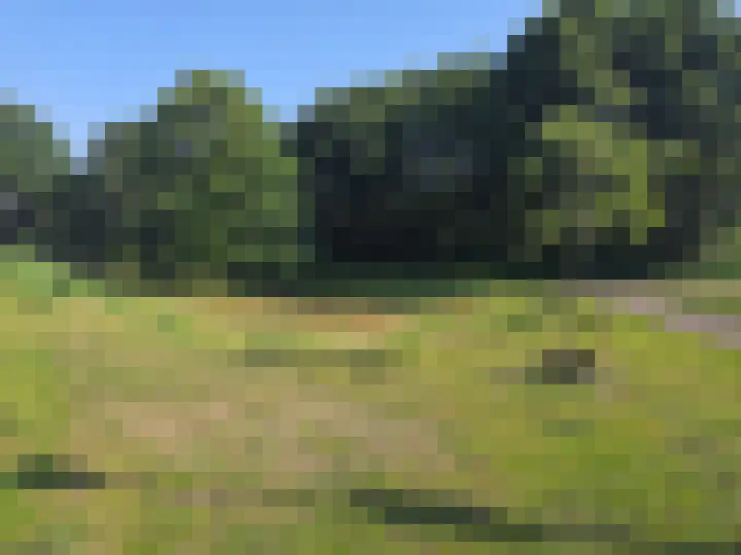 Schutsboom 1 Geldrop thumbnail 43