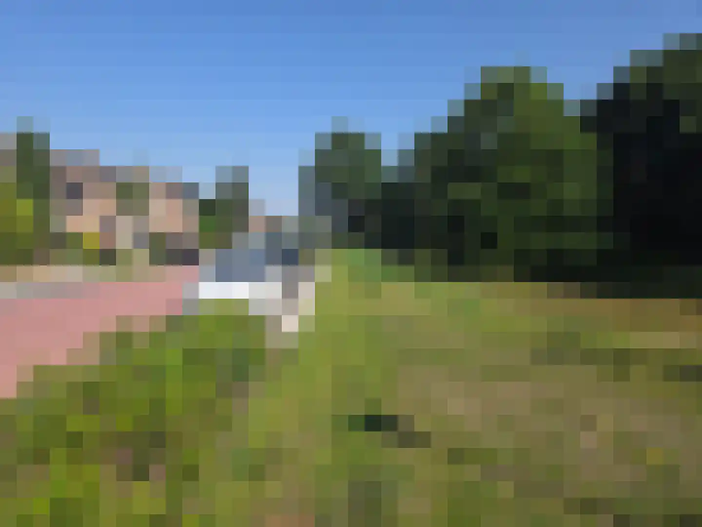 Schutsboom 1 Geldrop thumbnail 47