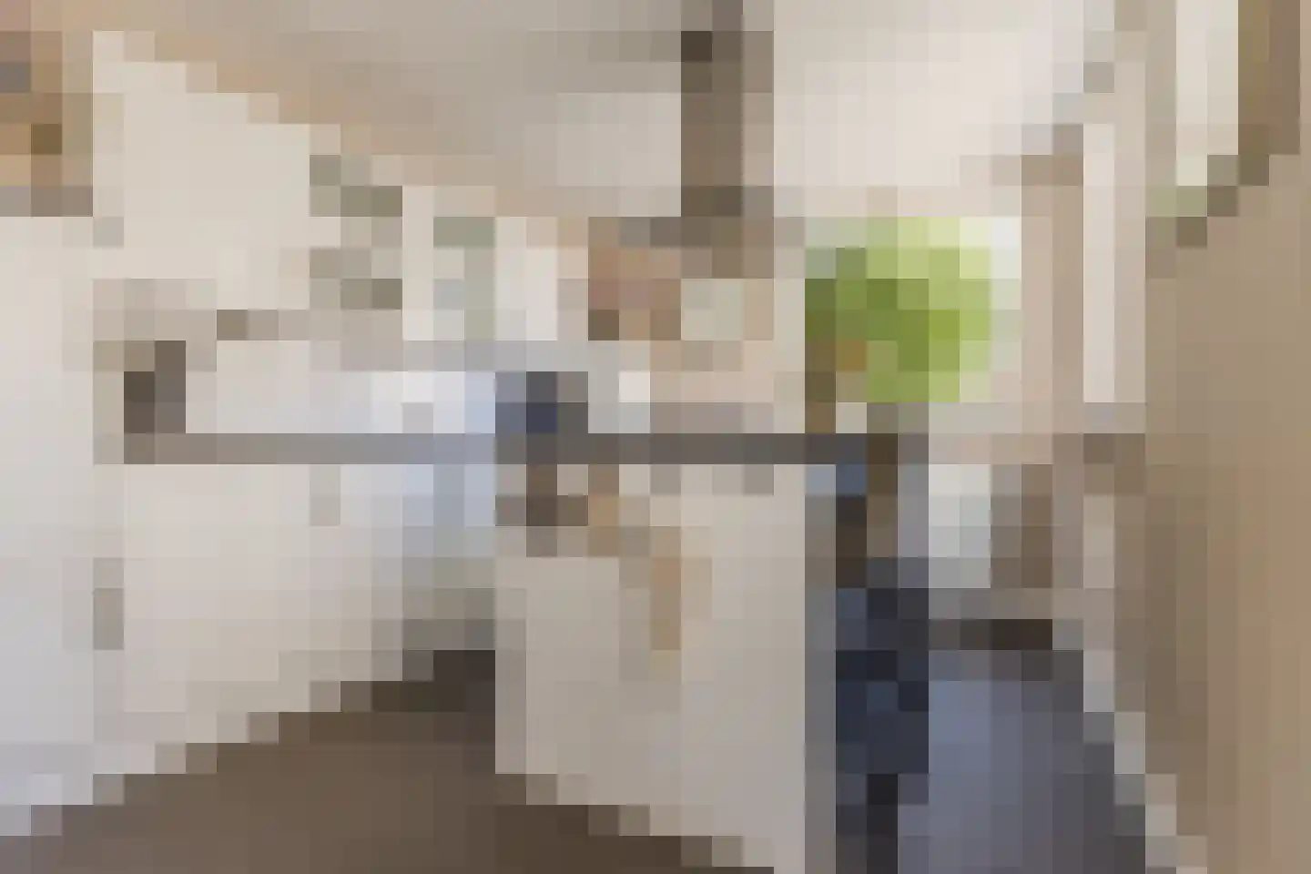 Schutsboom 1 Geldrop thumbnail 5