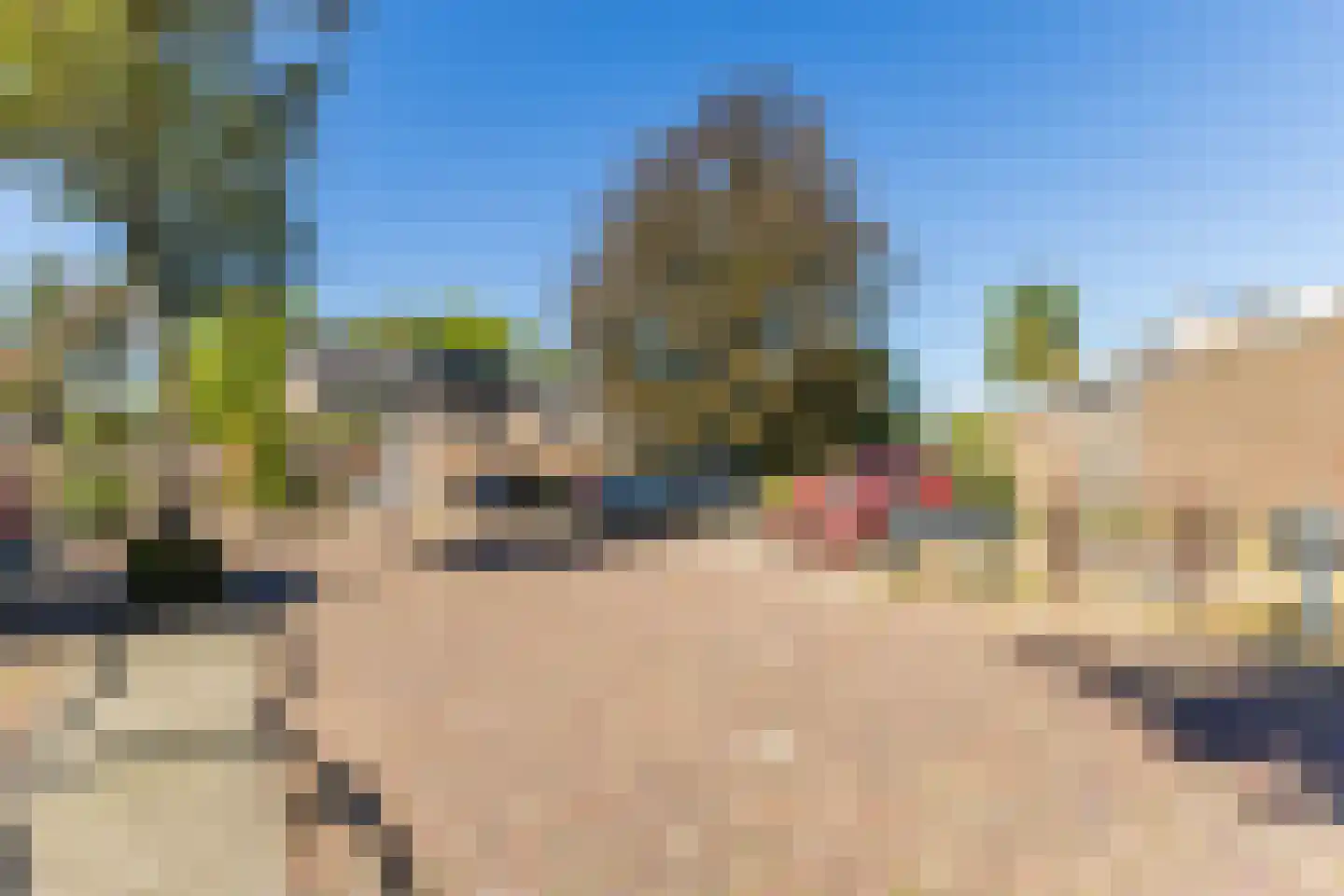 Schutsboom 1 Geldrop thumbnail 53