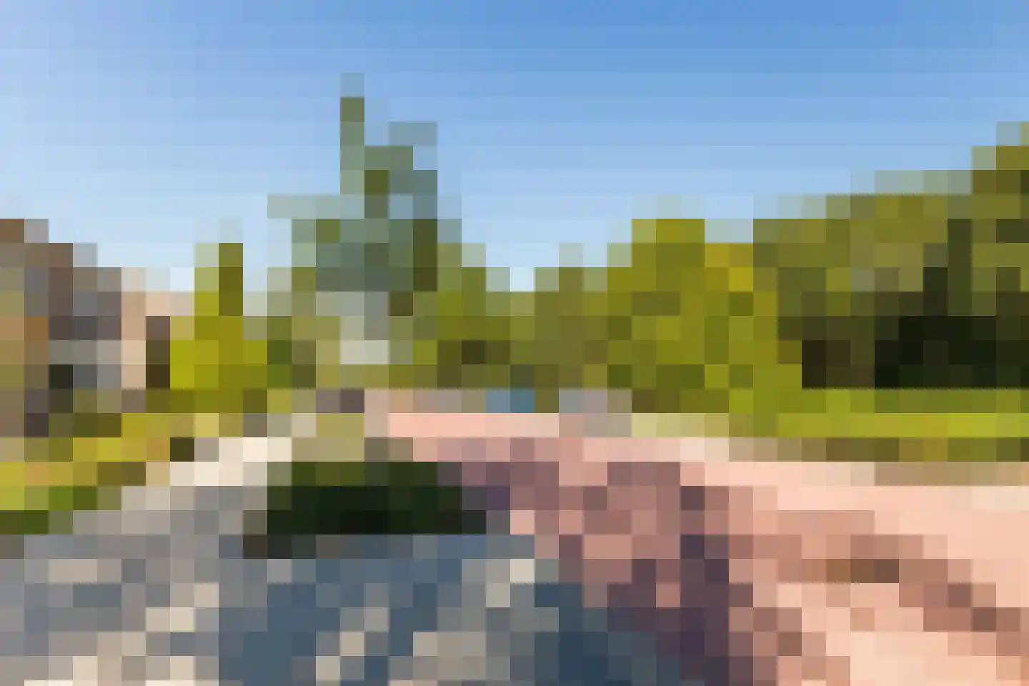 Schutsboom 1 Geldrop thumbnail 54