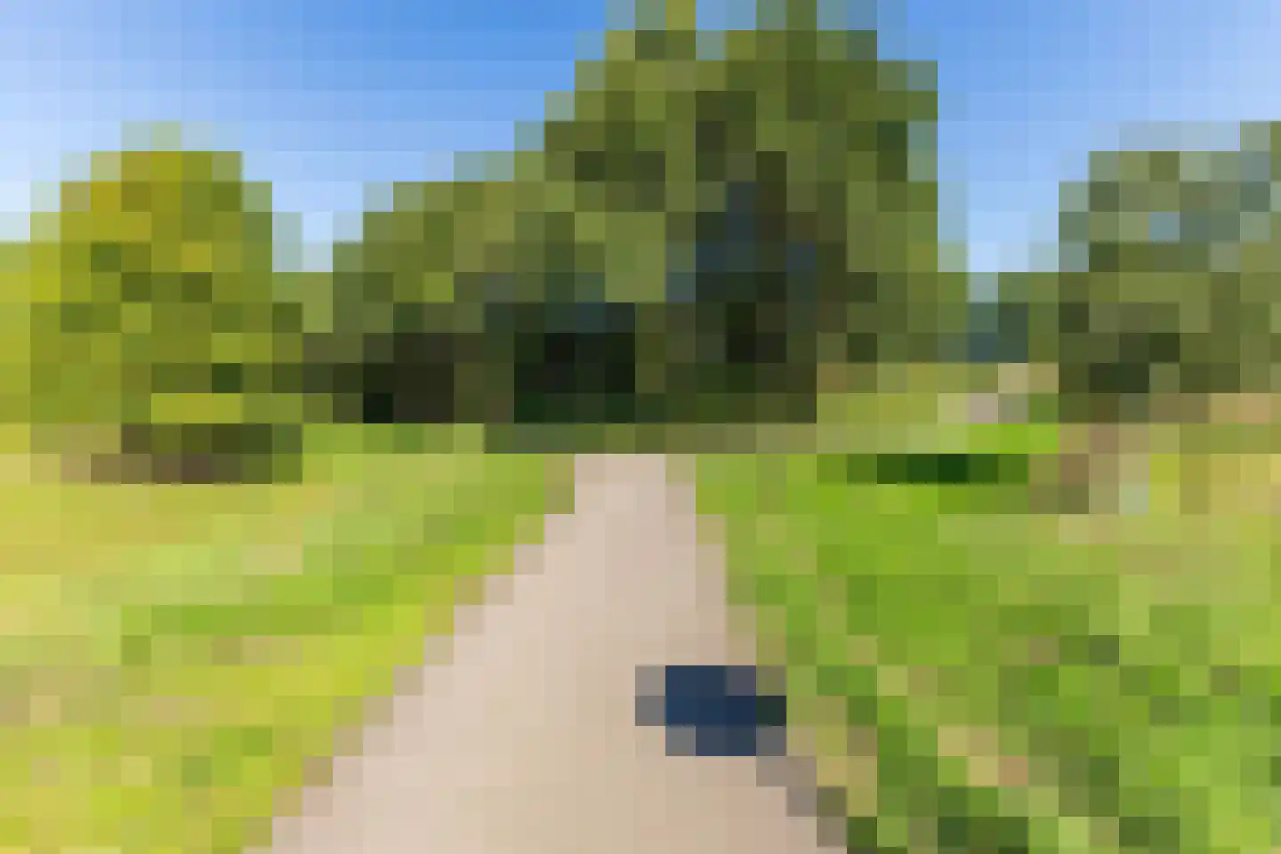 Schutsboom 1 Geldrop thumbnail 55