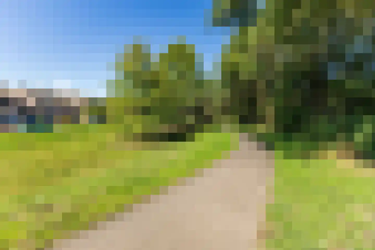 Schutsboom 1 Geldrop thumbnail 56