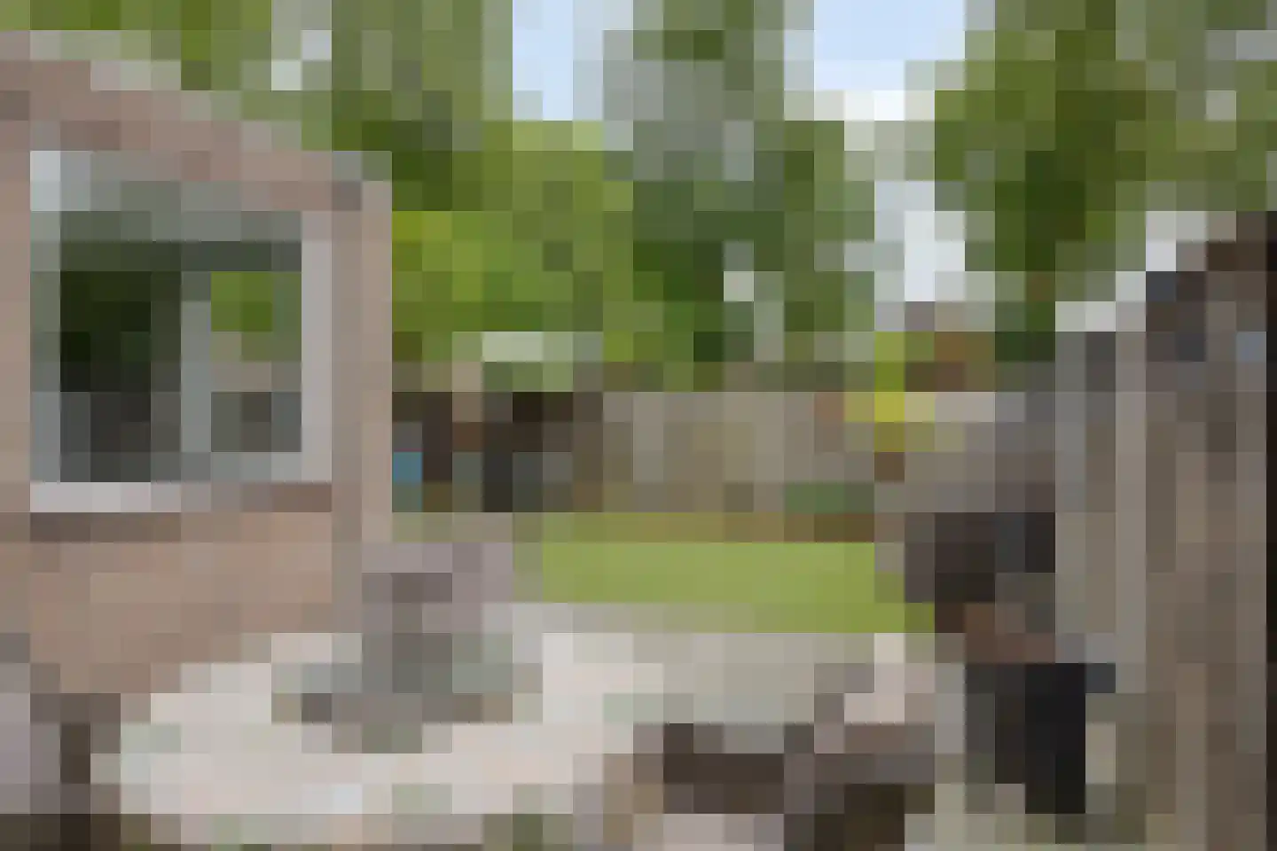 Schutsboom 1 Geldrop thumbnail 6