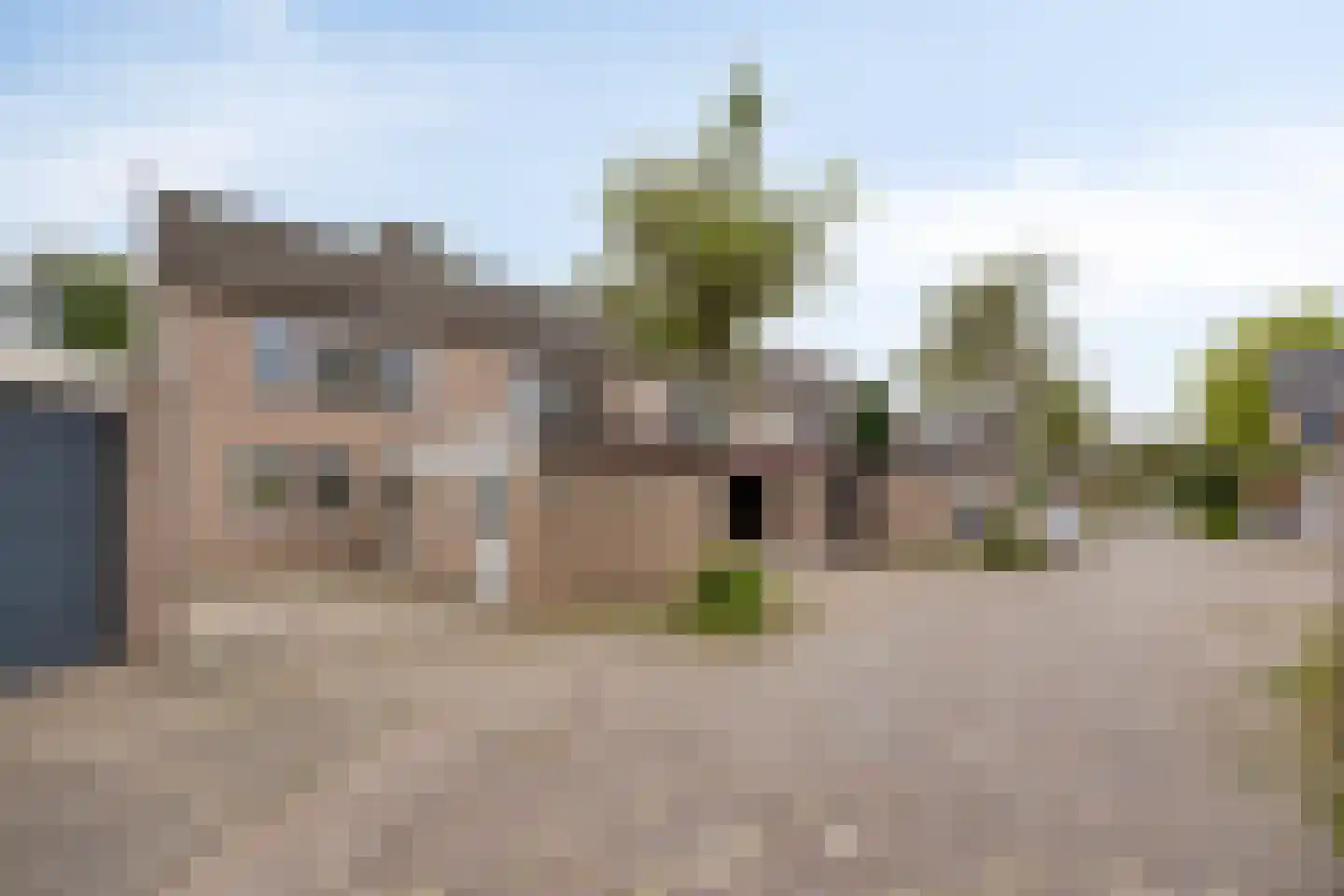 Schutsboom 1 Geldrop thumbnail 7