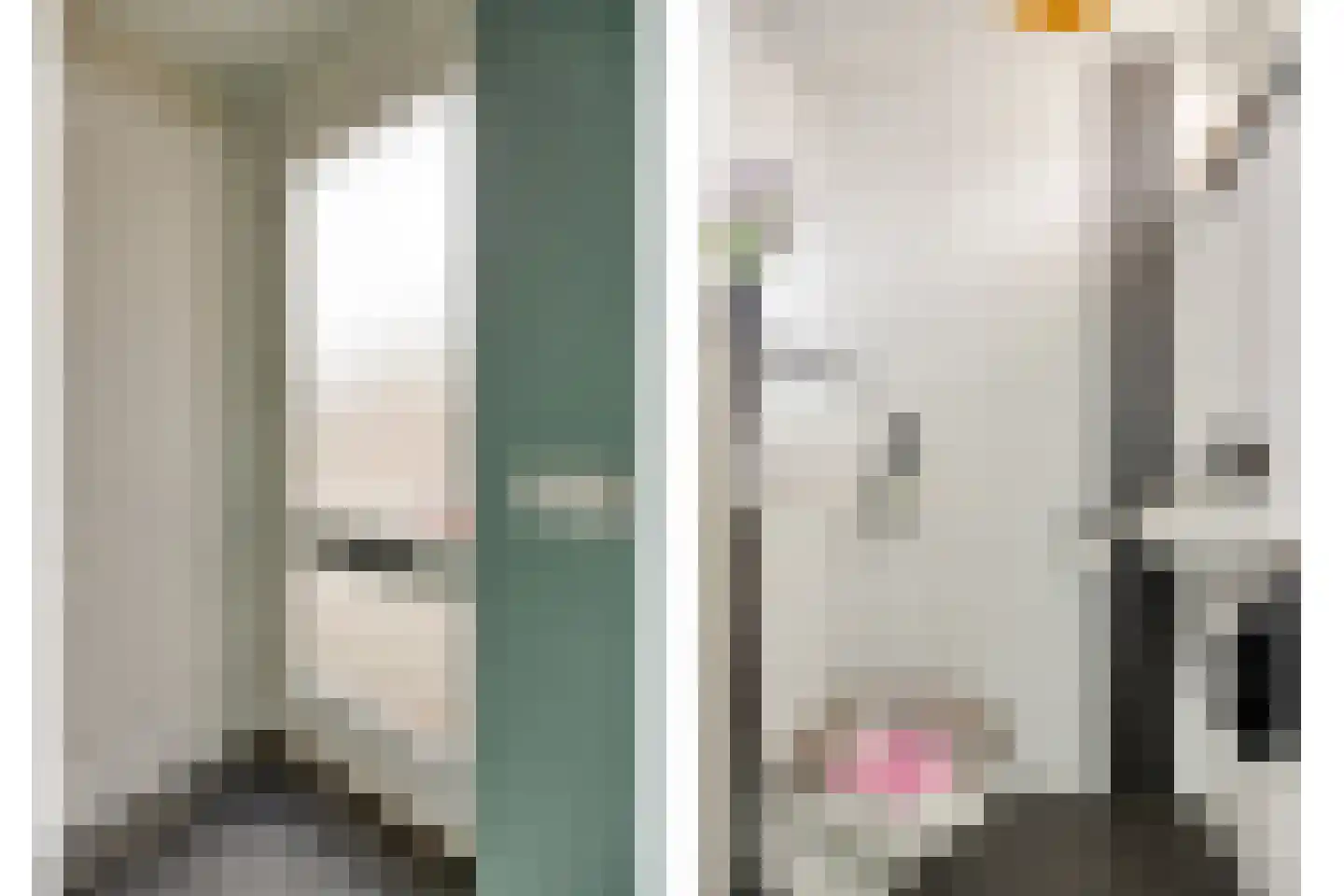 Schutsboom 1 Geldrop thumbnail 9