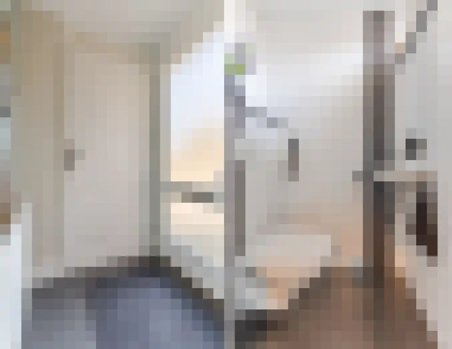Schutsboom 1 Geldrop thumbnail 9