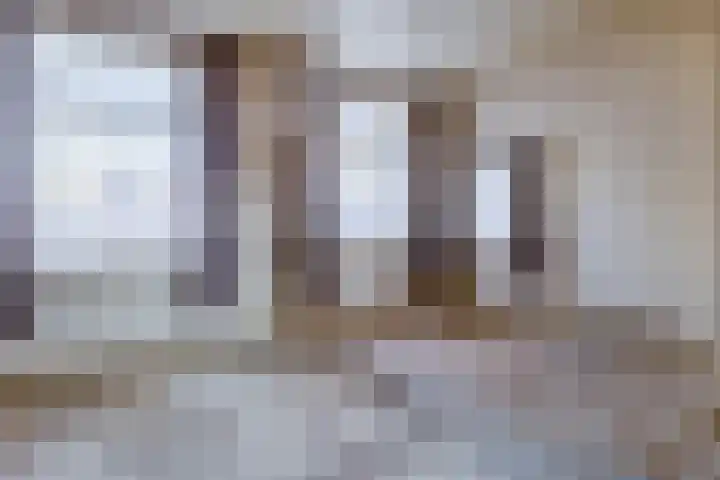 Schutsboom 16 Schijndel thumbnail 10