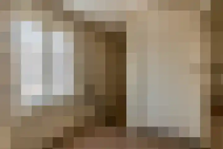 Schutsboom 16 Schijndel thumbnail 14
