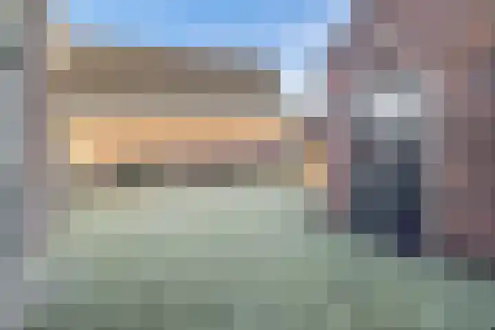 Schutsboom 16 Schijndel thumbnail 20