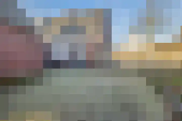 Schutsboom 16 Schijndel thumbnail 23