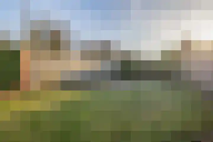 Schutsboom 16 Schijndel thumbnail 24