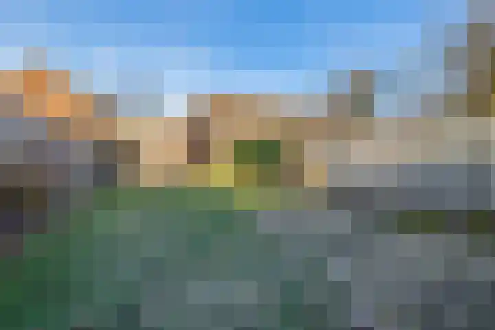 Schutsboom 16 Schijndel thumbnail 28