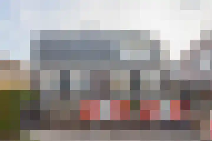 Schutsboom 16 Schijndel thumbnail 30