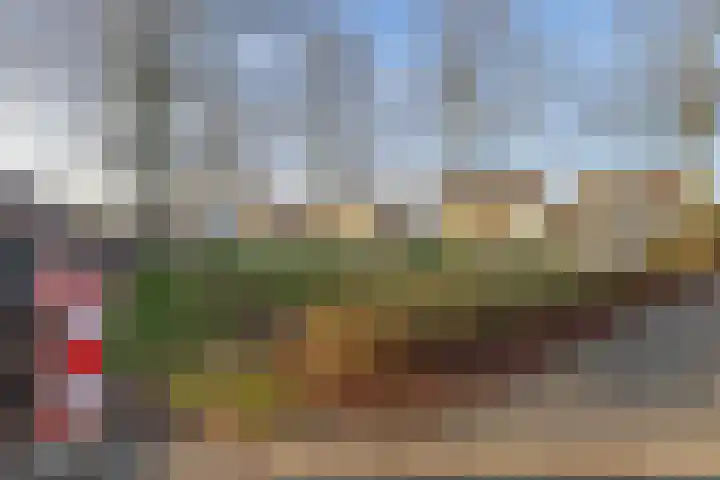 Schutsboom 16 Schijndel thumbnail 31