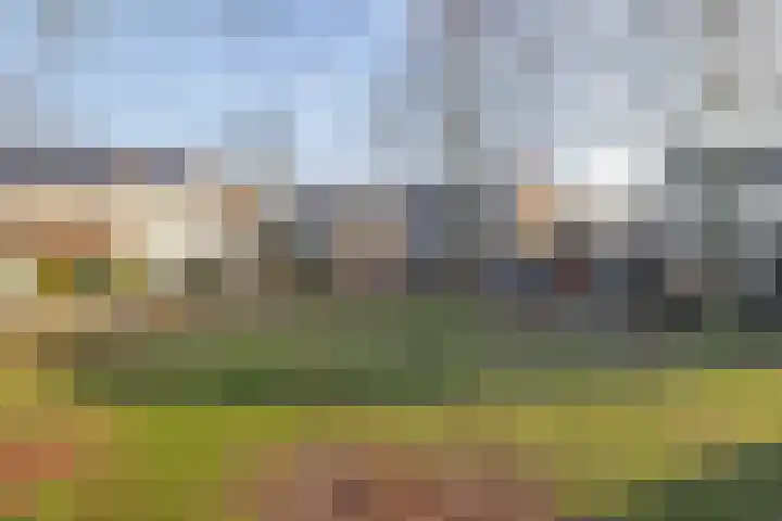 Schutsboom 16 Schijndel thumbnail 32