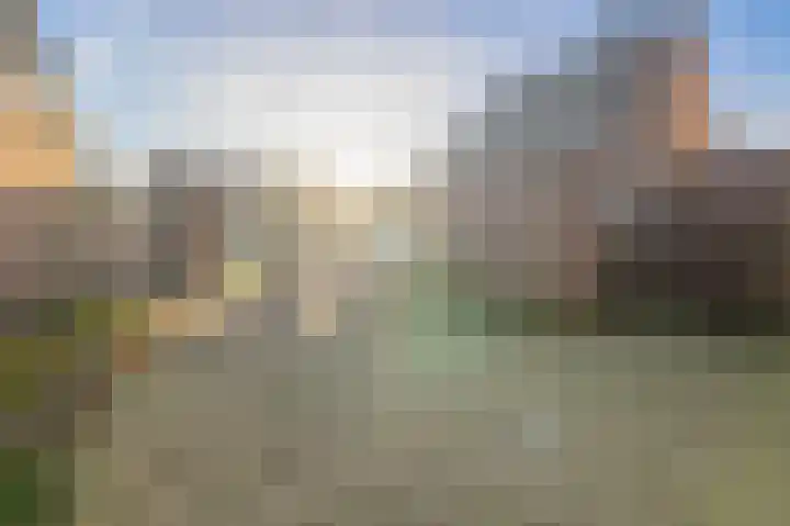 Schutsboom 16 Schijndel thumbnail 4
