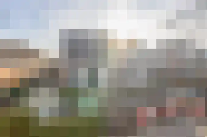 Schutsboom 16 Schijndel thumbnail 5