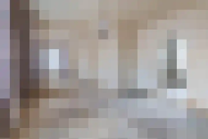 Schutsboom 16 Schijndel thumbnail 7