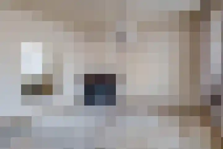 Schutsboom 16 Schijndel thumbnail 8