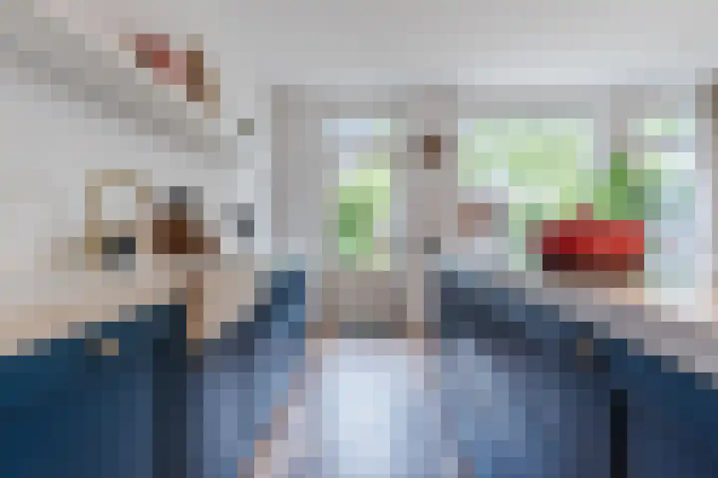 Schutsboom 19 Geldrop thumbnail 12